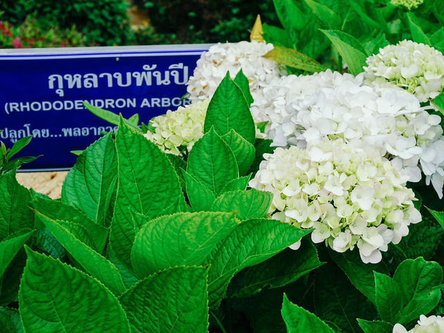 อุทยานแห่งชาติดอยอินทนนท์ จังหวัดเชียงใ