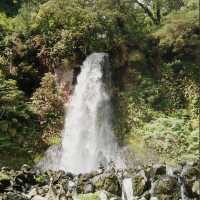 Mount Gede Pangrango National Park