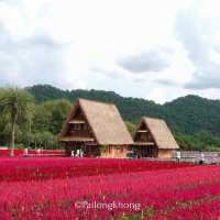 Hokkaido Flower Park Khaoyai
