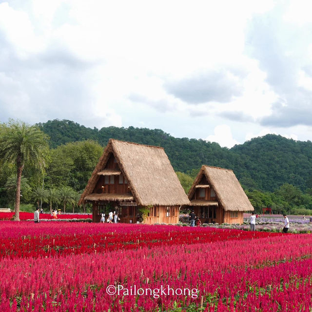 Hokkaido Flower Park Khaoyai