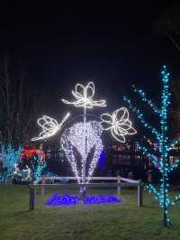 【コキットラム🇨🇦】冬の公園でイルミネーションを楽しもう⭐️