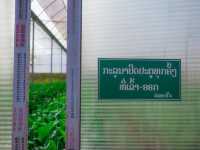 เที่ยวลาวใต้ ไป ARGO VAGE FARM