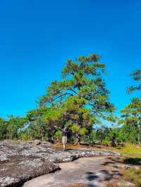 Phu Kradueng ภูกระดึง
