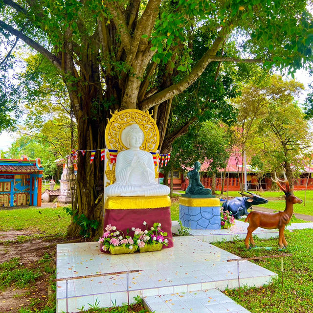 สักการะพระบรมสารีริกธาตุ วัดนามะตูม