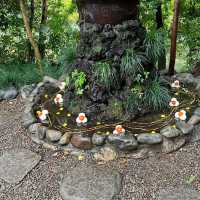 【埼玉】花手水が美しい神社