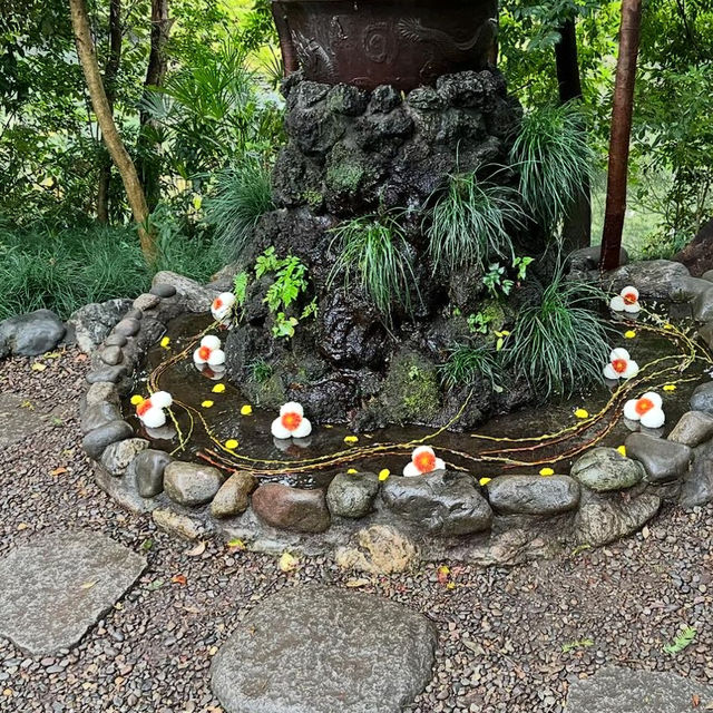 【埼玉】花手水が美しい神社