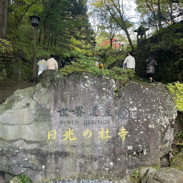 【栃木】東京から行きやすい人気紅葉スポット🍁