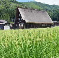 【金沢・白川郷】2泊3日で金沢市内と白川郷へ！スケジュールを大公開🗓