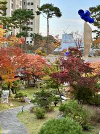 단지 중앙에 예쁜 단풍과 🌳 소담한 산책길을 경험할 수 있는 송파 공원 여행지 추천🍁