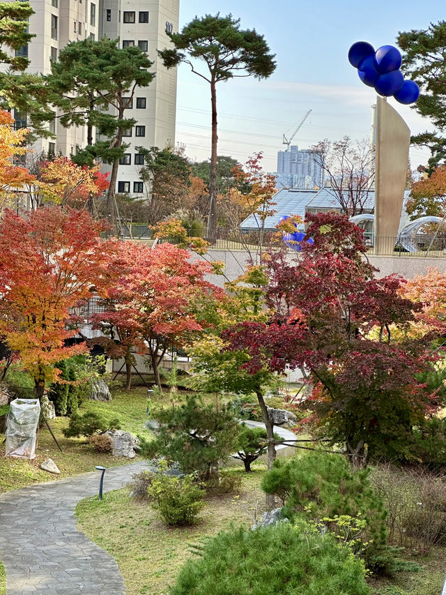 단지 중앙에 예쁜 단풍과 🌳 소담한 산책길을 경험할 수 있는 송파 공원 여행지 추천🍁