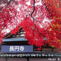 📍長野　紅葉スポット３選❗️
