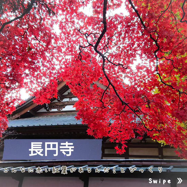 📍長野　紅葉スポット３選❗️
