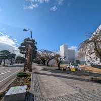 🇯🇵青森「十和田美術館」藝術與童心共舞，整座城市都是美術館！