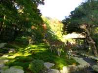 【滋賀県】滋賀の名勝逆さ紅葉！旧竹林院