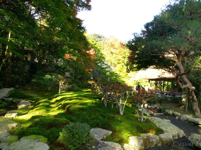【滋賀県】滋賀の名勝逆さ紅葉！旧竹林院