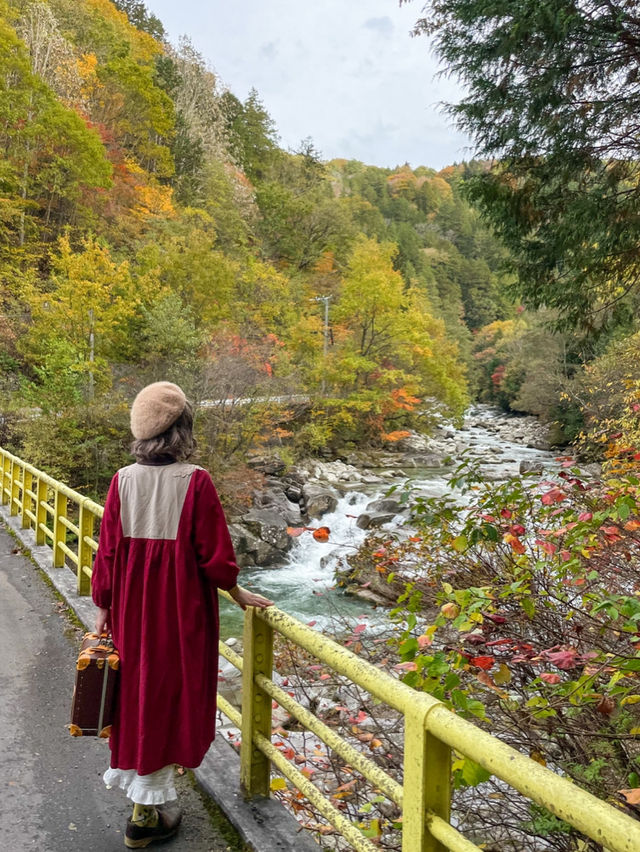 長野観光🥰🚂赤沢森林鉄道🚂素敵な紅葉を愛でながら癒される旅🍁