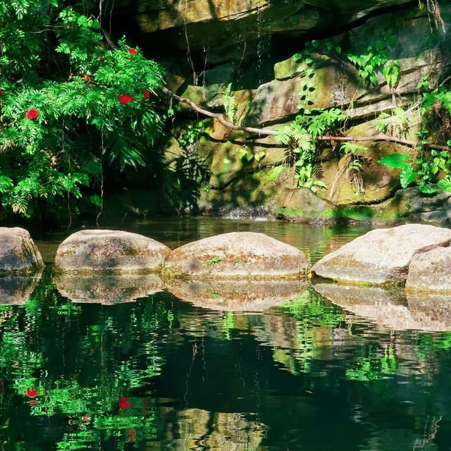～秀桐道～綠色世界～