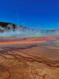 Yellowstone: Where nature Are Your New Best Friends 