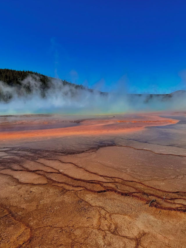 Yellowstone: Where nature Are Your New Best Friends 