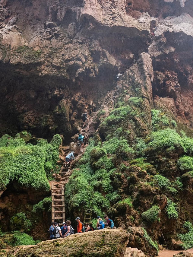 Exploring Havasupai: A Desert Oasis Adventure 