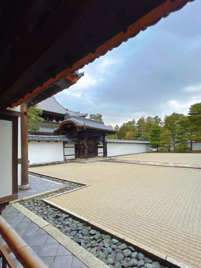 京都観光😊必見の蟠龍図🐉と秋の紅葉🍁