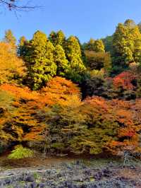京都観光😊京都の古刹🍁世界遺産のお寺😊