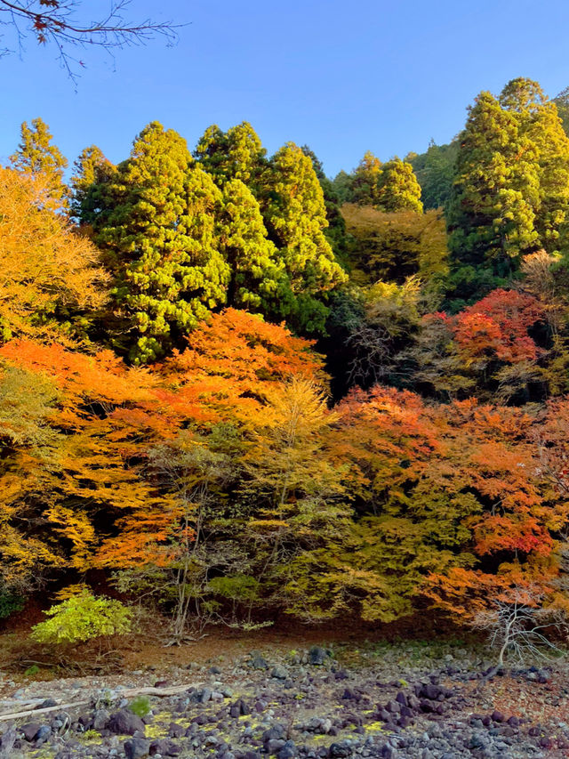 京都観光😊京都の古刹🍁世界遺産のお寺😊