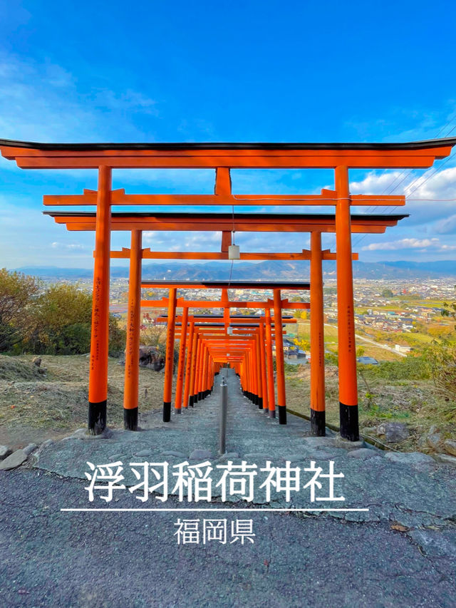 92基の鳥居が圧巻🥰⛩️福岡の浮羽稲荷神社⛩️