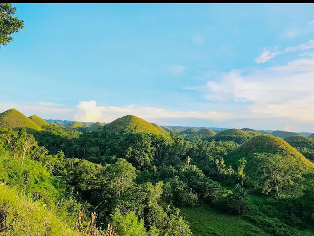 Chocolate Hills Natural Monument | Trip.com Carmen