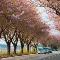 萬壽台噴水公園：平壤的地標性戶外景點