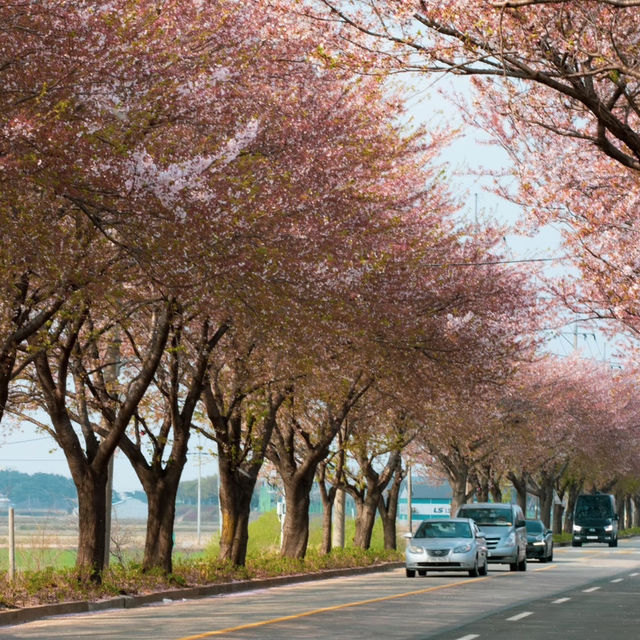 萬壽台噴水公園：平壤的地標性戶外景點