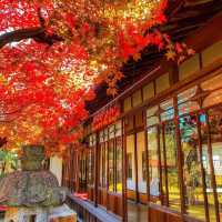 Takachiho japan 