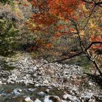 Discover the beauty of Wuling Farm in Taiwan