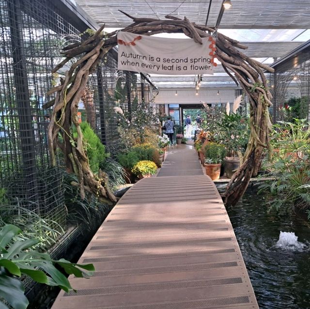 泰迪熊動物王國Teseum🐻濟州島Aqua Planet水族館🐠山茶花之丘🌻🌞旅遊景點介紹👍