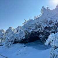 Winter Wonderland: Hiking Hallasan in Jeju’s Snowy Embrace
