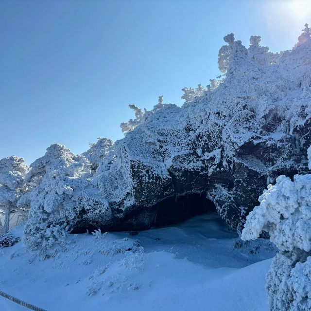 Winter Wonderland: Hiking Hallasan in Jeju’s Snowy Embrace