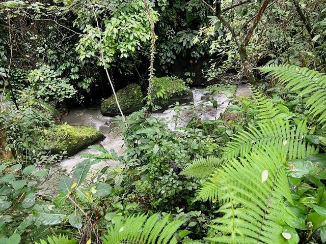 Scenic Serenity at Campuhan Ridge Walk