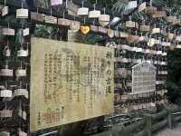 青島的自然生態岩石「鬼之洗衣板」及青島神社⛩️