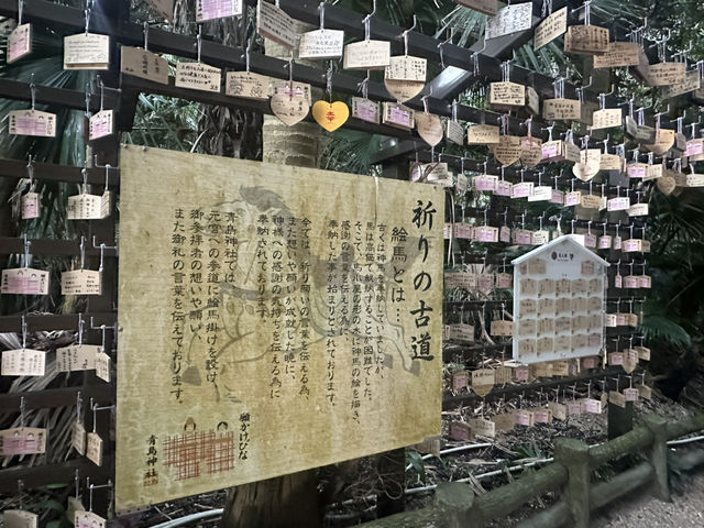 青島的自然生態岩石「鬼之洗衣板」及青島神社⛩️