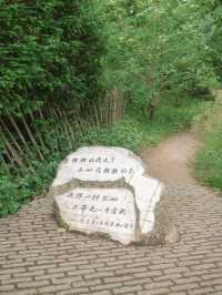 【英國必去景點】劍橋一日遊｜划船沒想到這麼好玩！😍