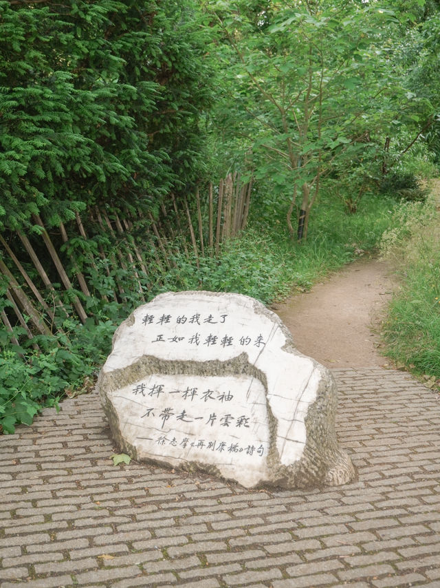 【英國必去景點】劍橋一日遊｜划船沒想到這麼好玩！😍