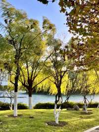Swan Lake, Hefei: A Tranquil Urban Escape