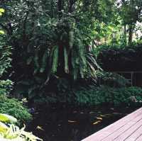 ทานอาหารใต้ในสวน