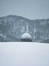 【真駒内滝野霊園】北海道の札幌市内から行けるおすすめスポット