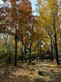  Serene Scenery in Suzhou at Tiger Hill