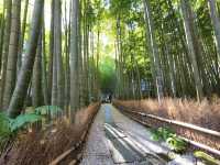 【報国寺境内】