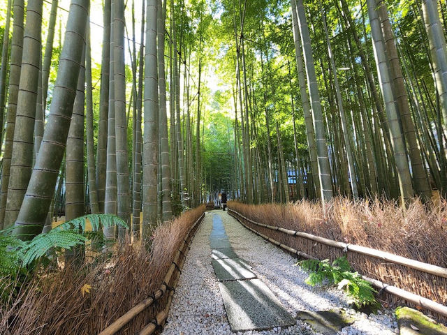 【報国寺境内】