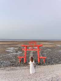 【日本】旅したくなる鳥居スポット5選