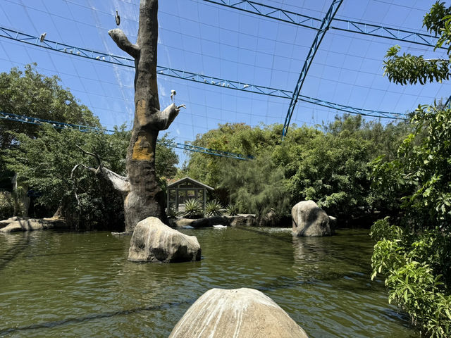 KING'S GARDEN
