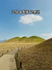 가야의 숨결이 숨쉬는 ‘고성 송학동 고분군’ 🍃